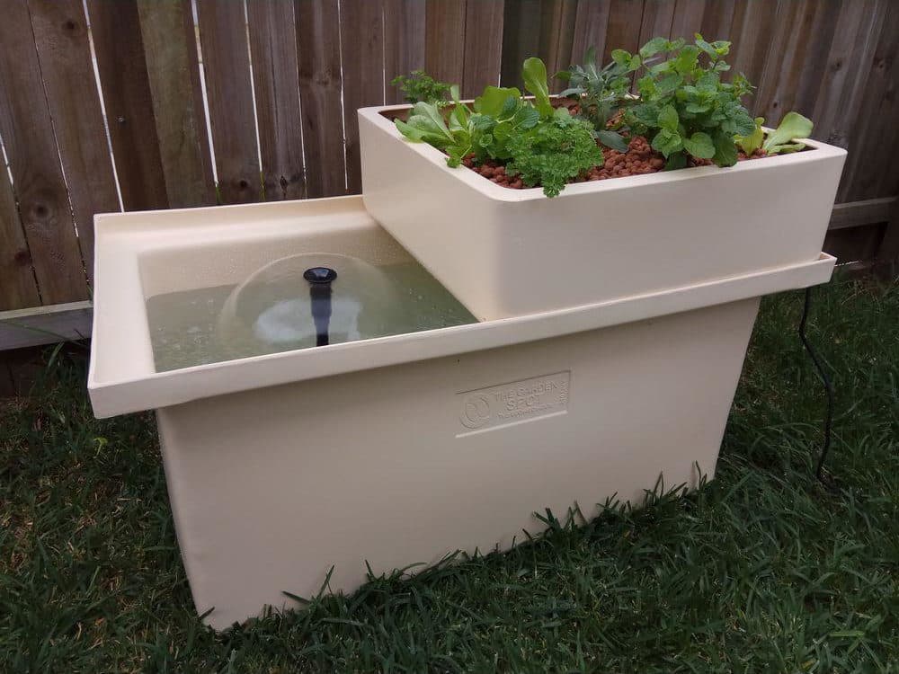 Home Aquaponics Best Reasons to Venture Aqua Gardening